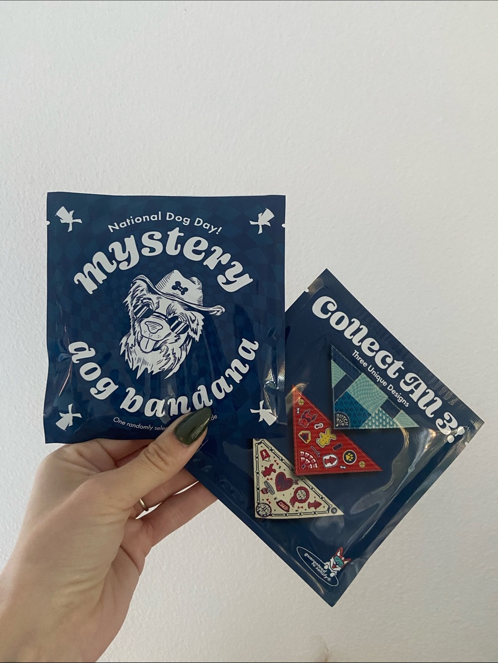 Dutch Bros Mystery Dog Bandanas x 2 National Dog Day 2026 pet accessories OSFM
